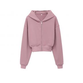 Simple commuter style hooded short solid color sweater zipper jacket European and American spring and autumn new women's clothing